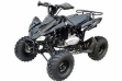 Interceptor 125cc Quad Bike 7" Fat Boi Tyres  - Black